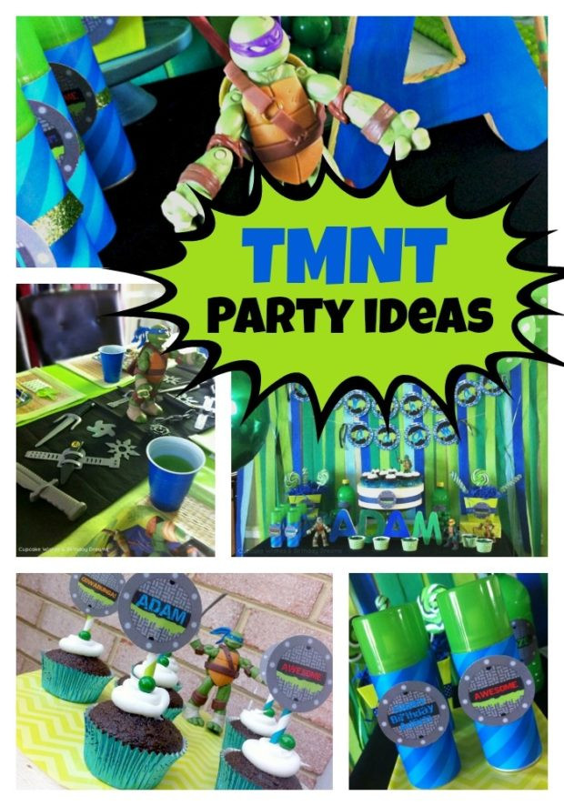 Teenage Mutant Ninja Turtle Birthday Party
 Teenage Mutant Ninja Turtles Birthday Party Spaceships