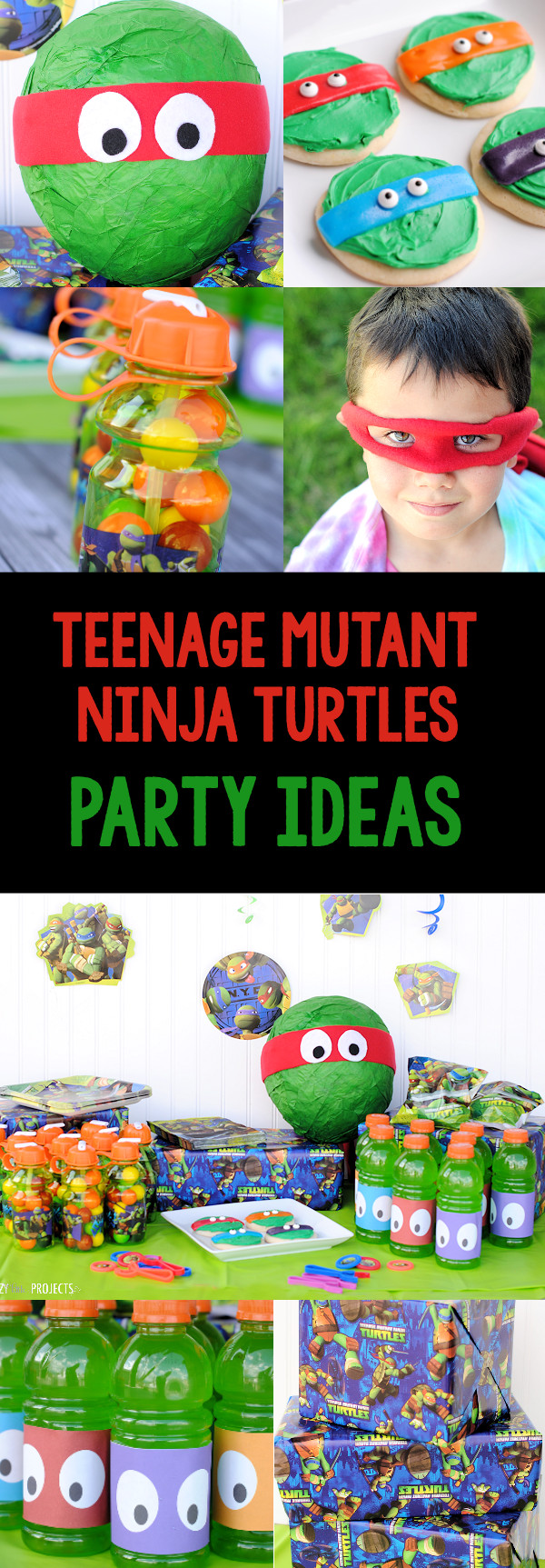 Teenage Mutant Ninja Turtle Birthday Party
 Teenage Mutant Ninja Turtle Party Ideas