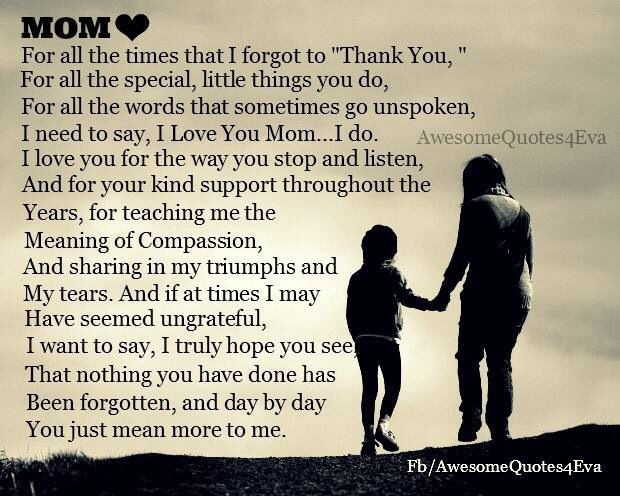 Thank You Mother Quotes
 Thank you mom I love you Inspiration