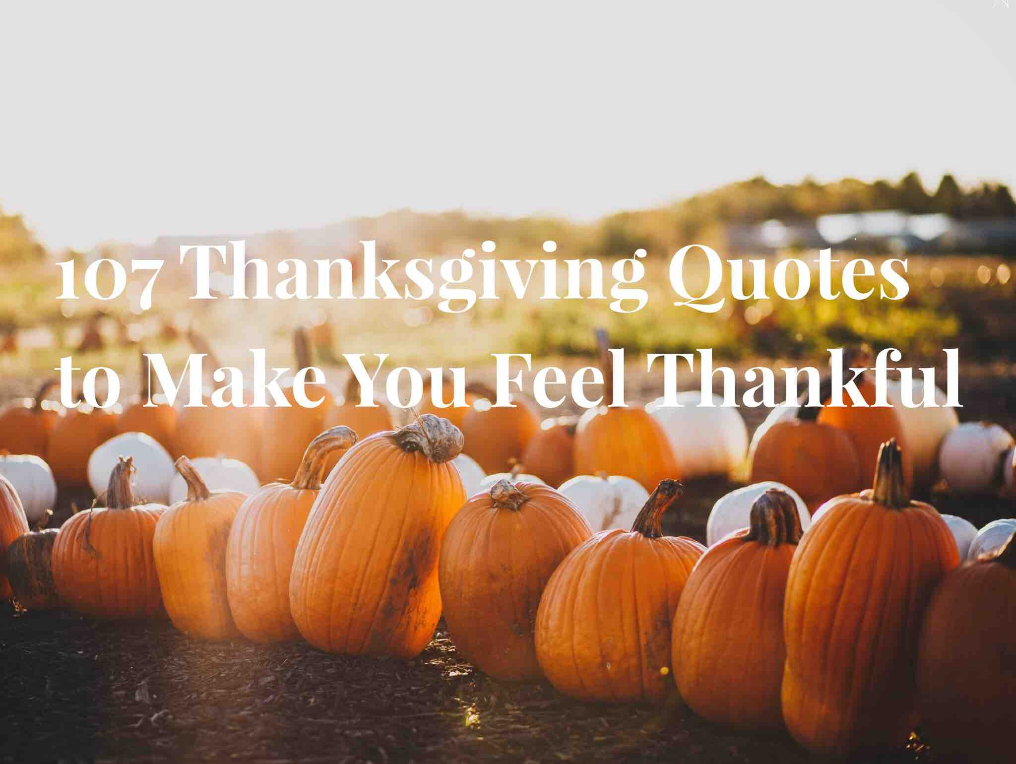 Thanksgiving Quotes Baby
 107 Thanksgiving Quotes to Make You Feel Thankful
