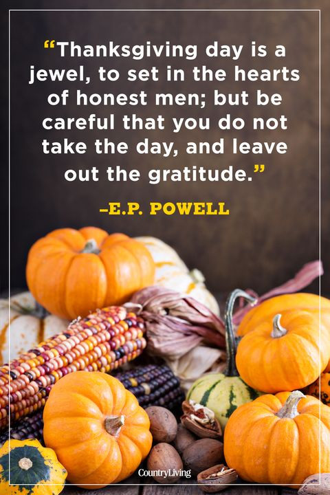 Thanksgiving Quotes Food
 50 Best Thanksgiving Day Quotes Happy Thanksgiving Toast