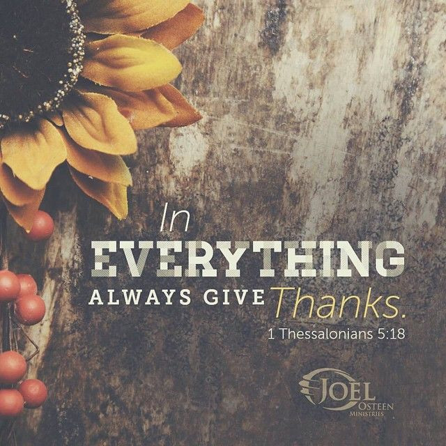 Thanksgiving Quotes Instagram
 277 best images about Instagram Quotes on Pinterest