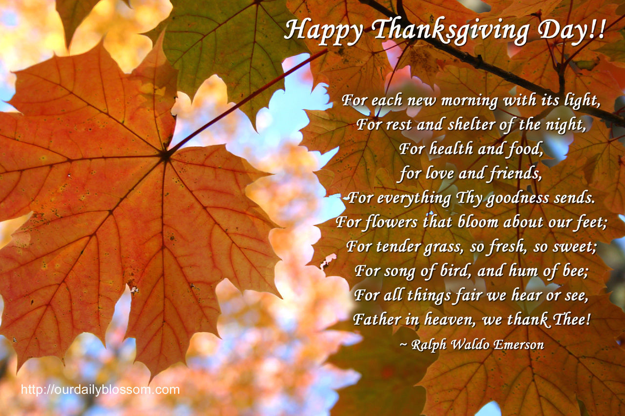 Thanksgiving Quotes Mom
 Happy Thanksgiving Day s and for