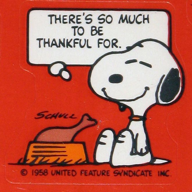 Thanksgiving Quotes Peanuts
 A 2018 Charlie Brown Special Thanksgiving Story – Inside