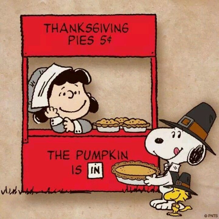 Thanksgiving Quotes Peanuts
 505 best images about Thanksgiving Turkey Day on