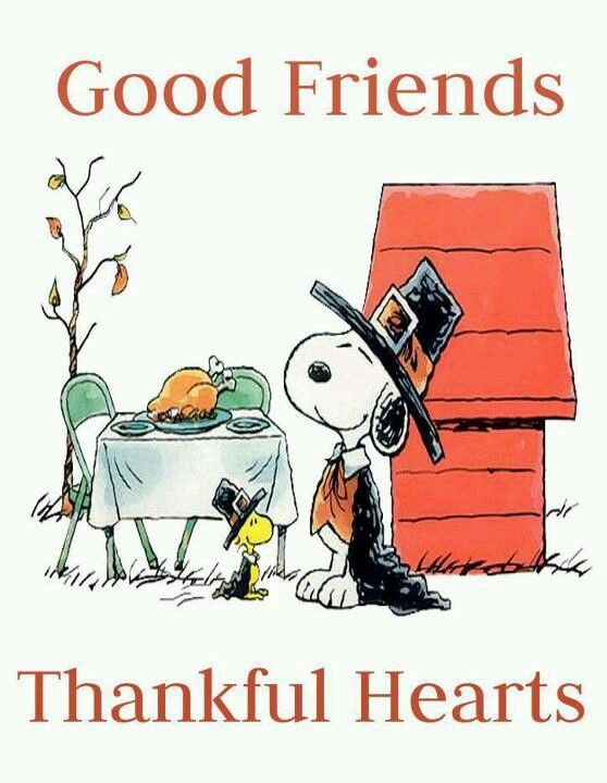Thanksgiving Quotes Peanuts
 1055 best images about Charlie Brown and Snoopy on