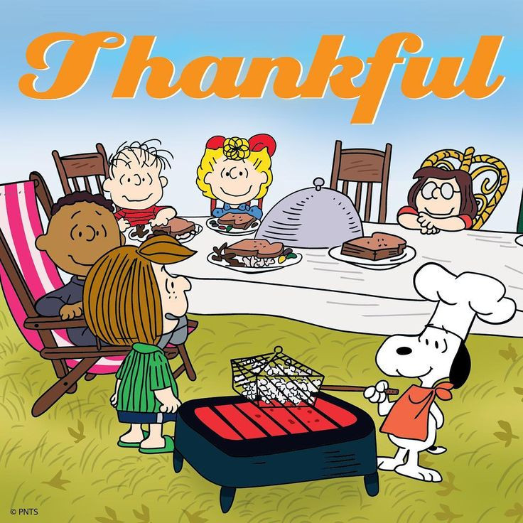 Thanksgiving Quotes Peanuts
 37 best Giving Thanks Thanksgiving Day images on