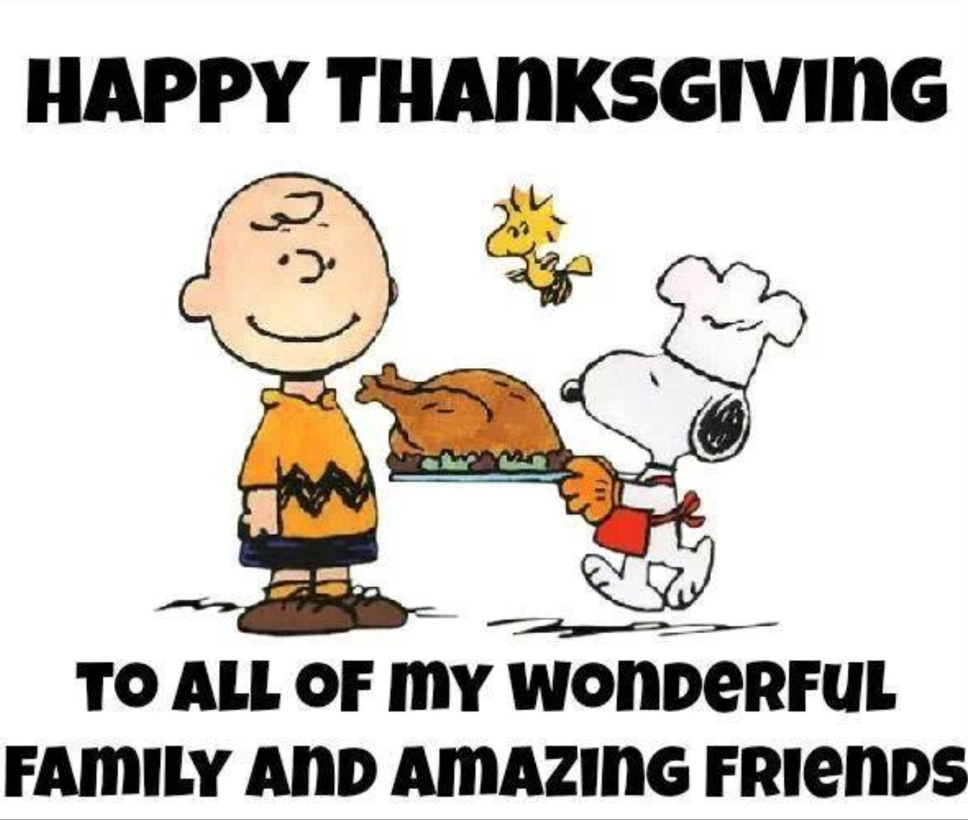 Thanksgiving Quotes Peanuts
 Charlie Brown Thanksgiving Quotes QuotesGram