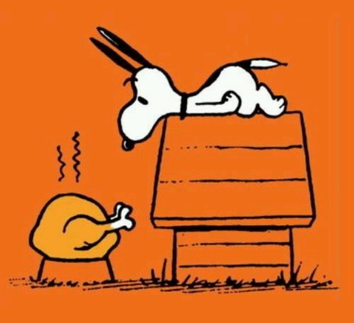 Thanksgiving Quotes Snoopy
 444 best images about Good Grief Charlie Brown on
