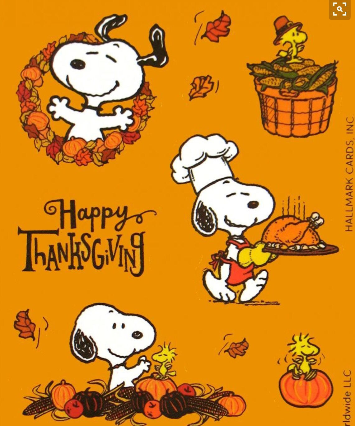 Thanksgiving Quotes Snoopy
 Snoopy is a great chef