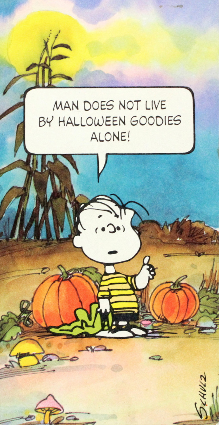 Thanksgiving Quotes Snoopy
 Snoopy Thanksgiving Quotes QuotesGram