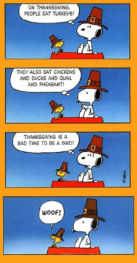 Thanksgiving Quotes Snoopy
 A Humorous Thanksgiving From Flower Shop Network