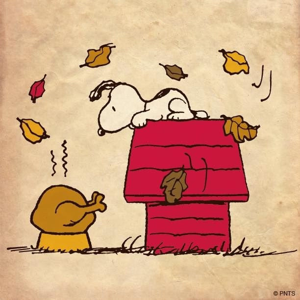 Thanksgiving Quotes Snoopy
 49 best images about Peanuts Thanksgiving on Pinterest