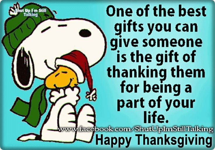 Thanksgiving Quotes Snoopy
 Best 1108 Charlie Brown images on Pinterest