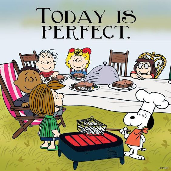 Thanksgiving Quotes Snoopy
 Snoopy Thanksgiving and Peanuts on Pinterest