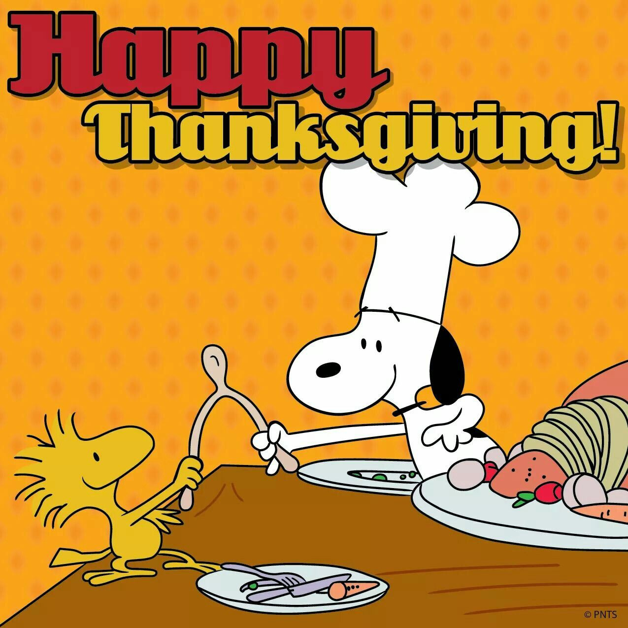 Thanksgiving Quotes Snoopy
 Snoopy Thanksgiving