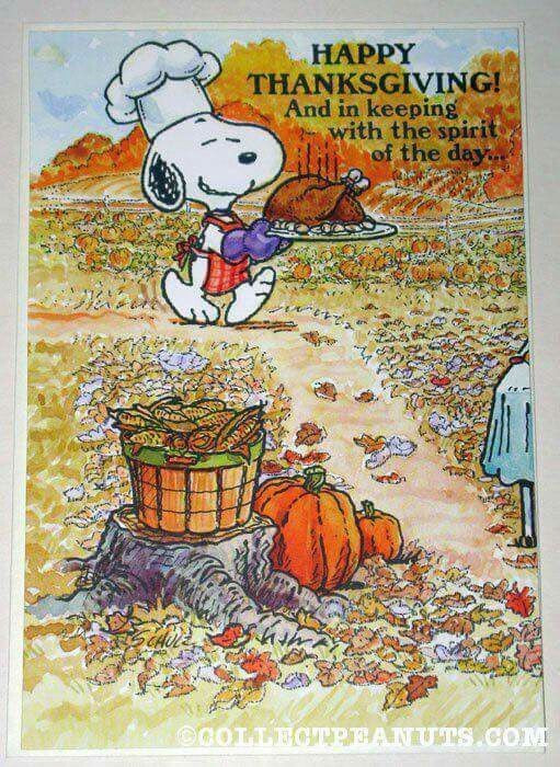 Thanksgiving Quotes Snoopy
 Snoopy ♡