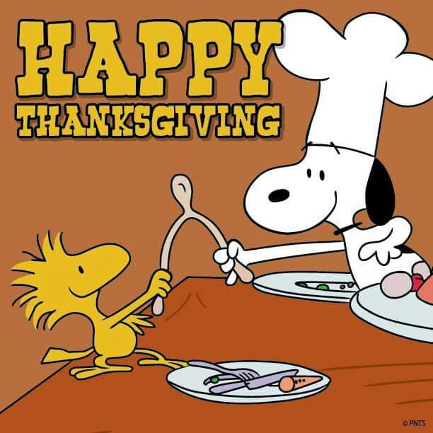 Thanksgiving Quotes Snoopy
 717 best Cartoon characters images on Pinterest