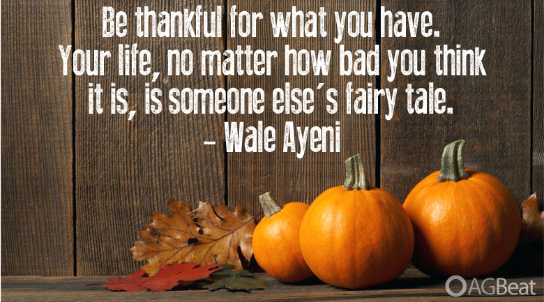 Thanksgiving Quotes Thanksgivingquotes
 10 Thanksgiving quotes as pictures to share on your social
