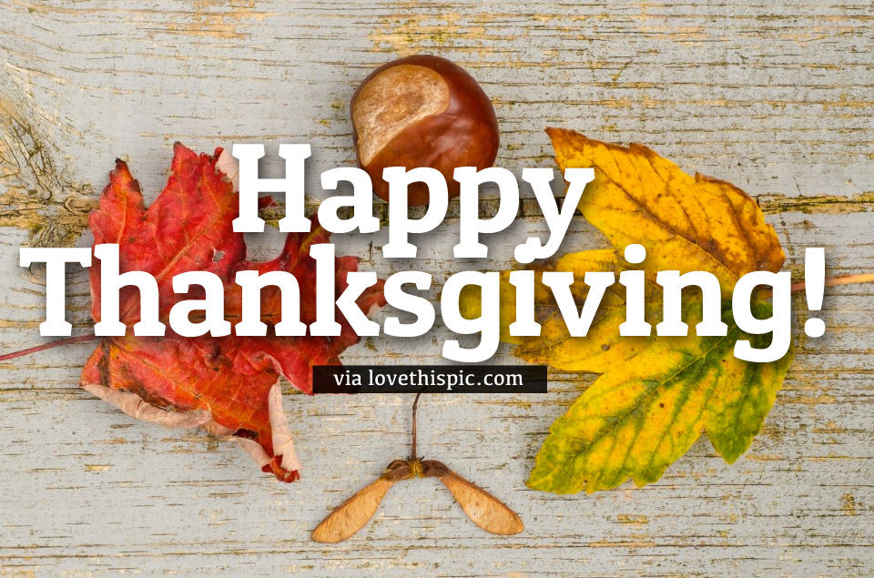 Thanksgiving Quotes Twitter
 Nature Happy Thanksgiving Quote s and