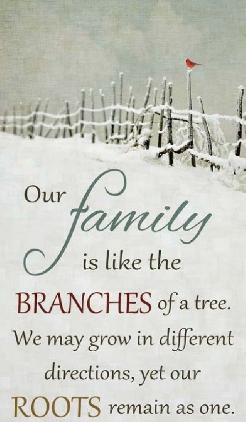 Time Spent With Family Quote
 Family Spending Time To her Quotes QuotesGram