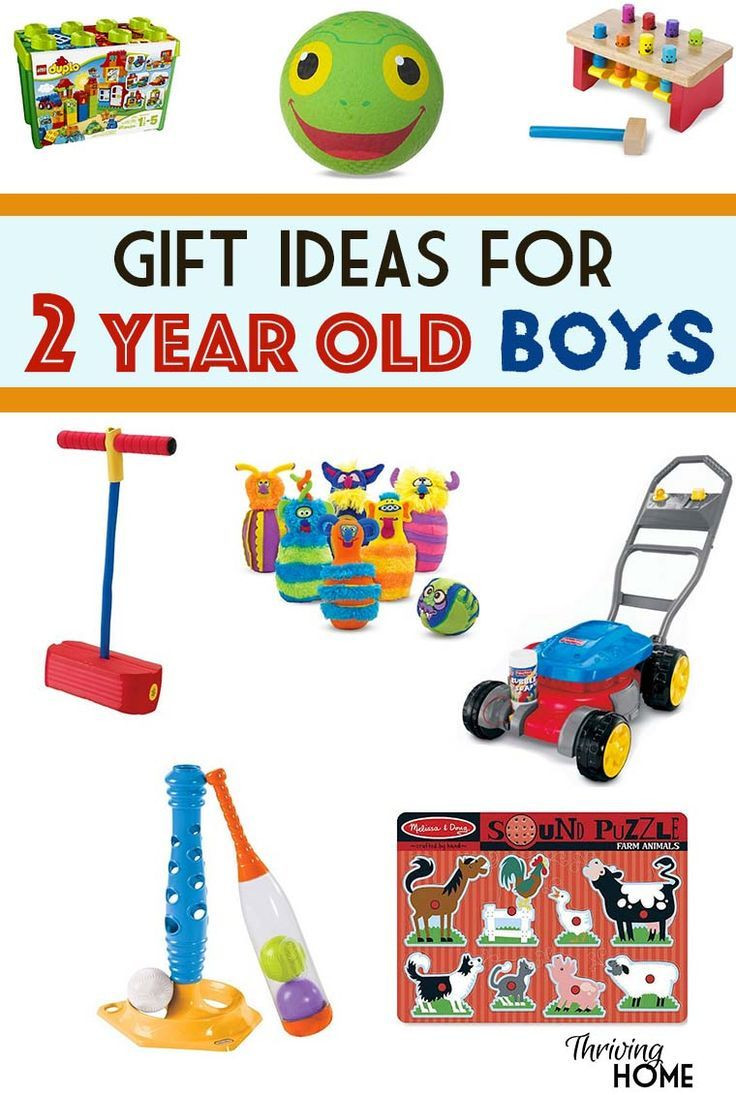 Toddler Birthday Gifts
 Gift Ideas for a Two Year Old Boy