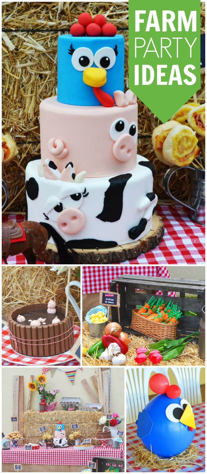 Toddler Birthday Party Ideas
 Isn t this farm party a great idea for a toddler birthday