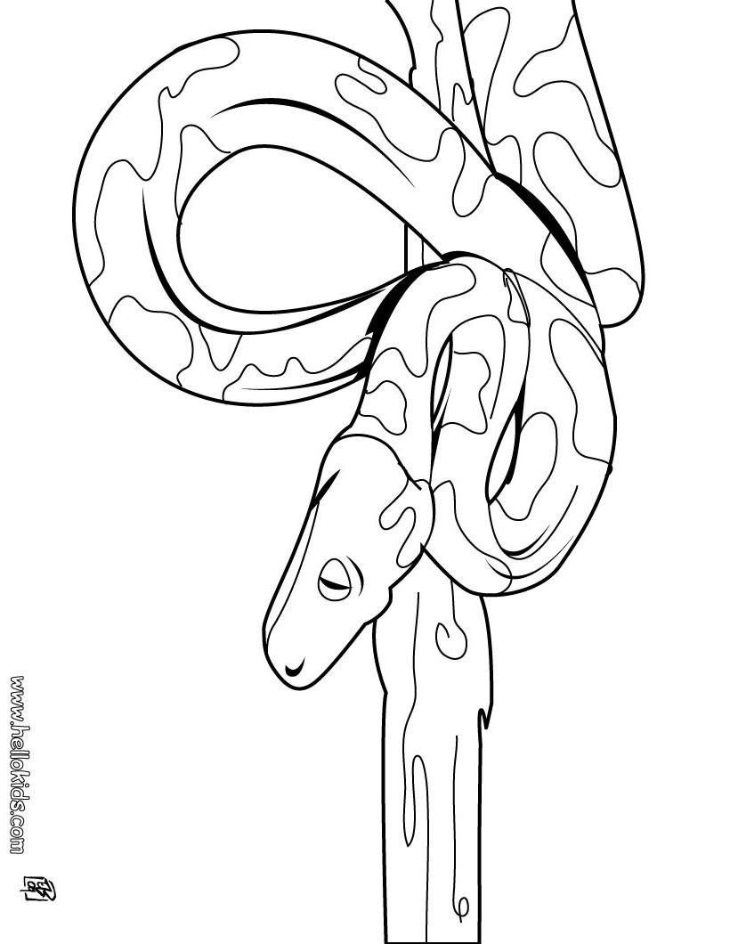 Toddler Coloring Pages
 Fun coloring pages for kids