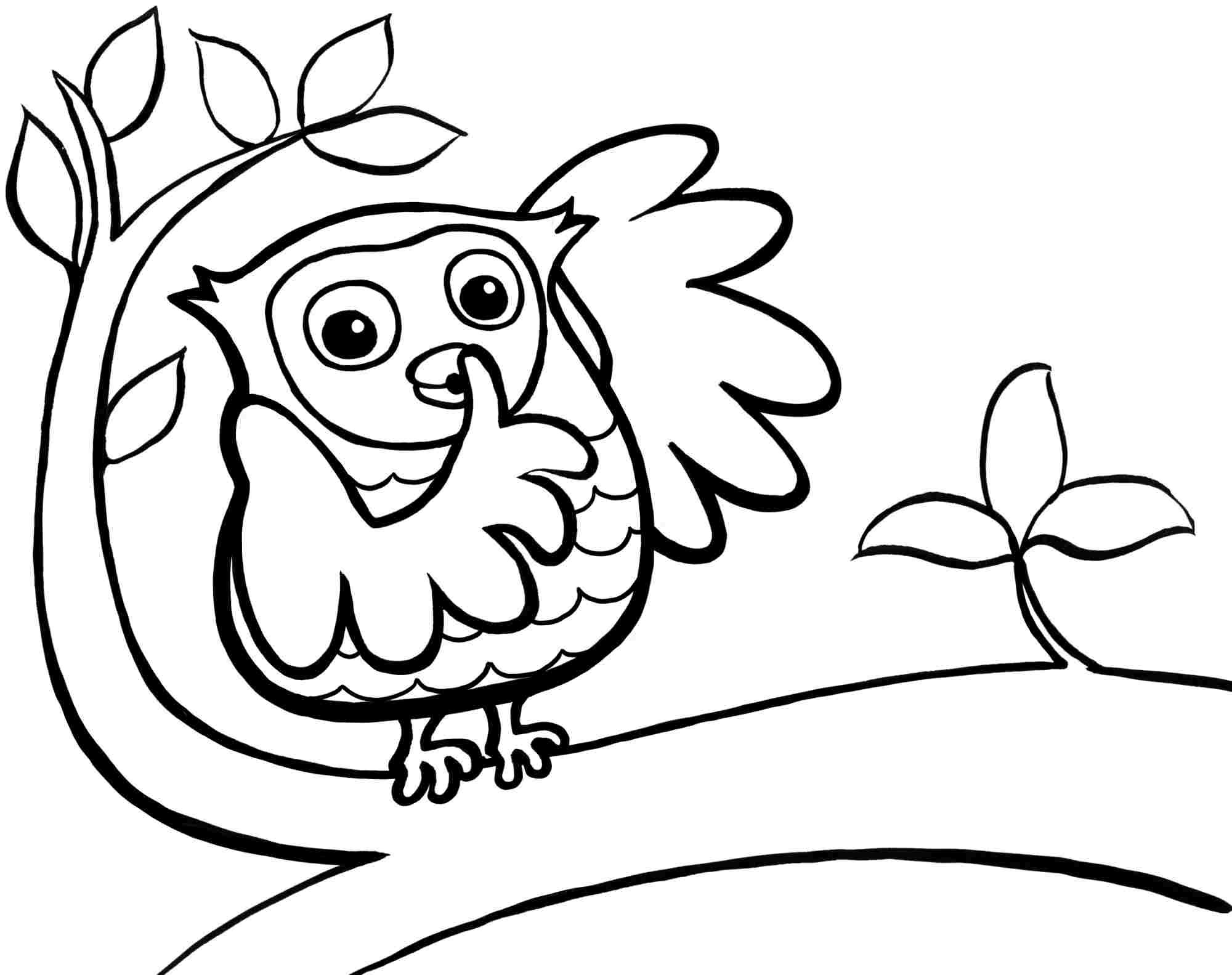 Toddler Coloring Pages
 Cute Printable Owl Coloring Pages for Kids