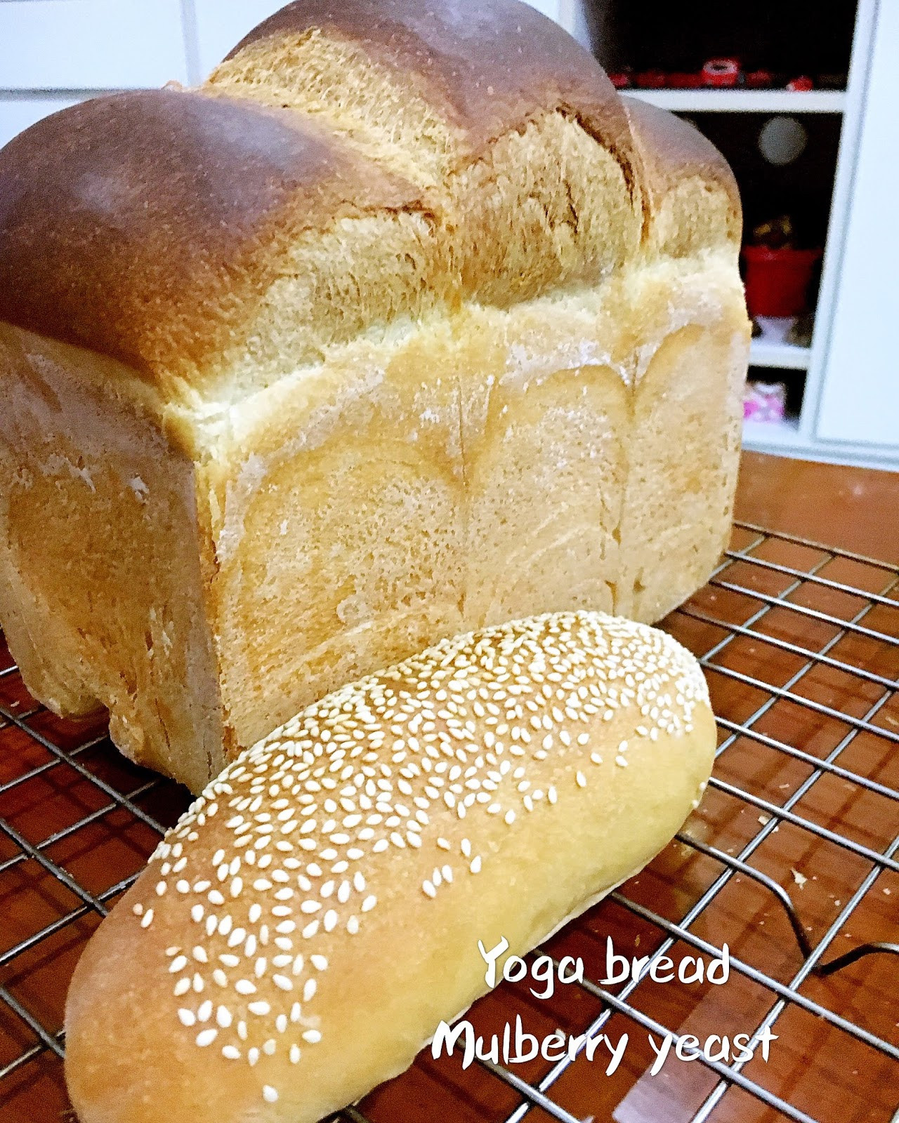 Too Much Yeast In Bread
 Wendy S Small Small World Natural Yeast Yoga Bread My