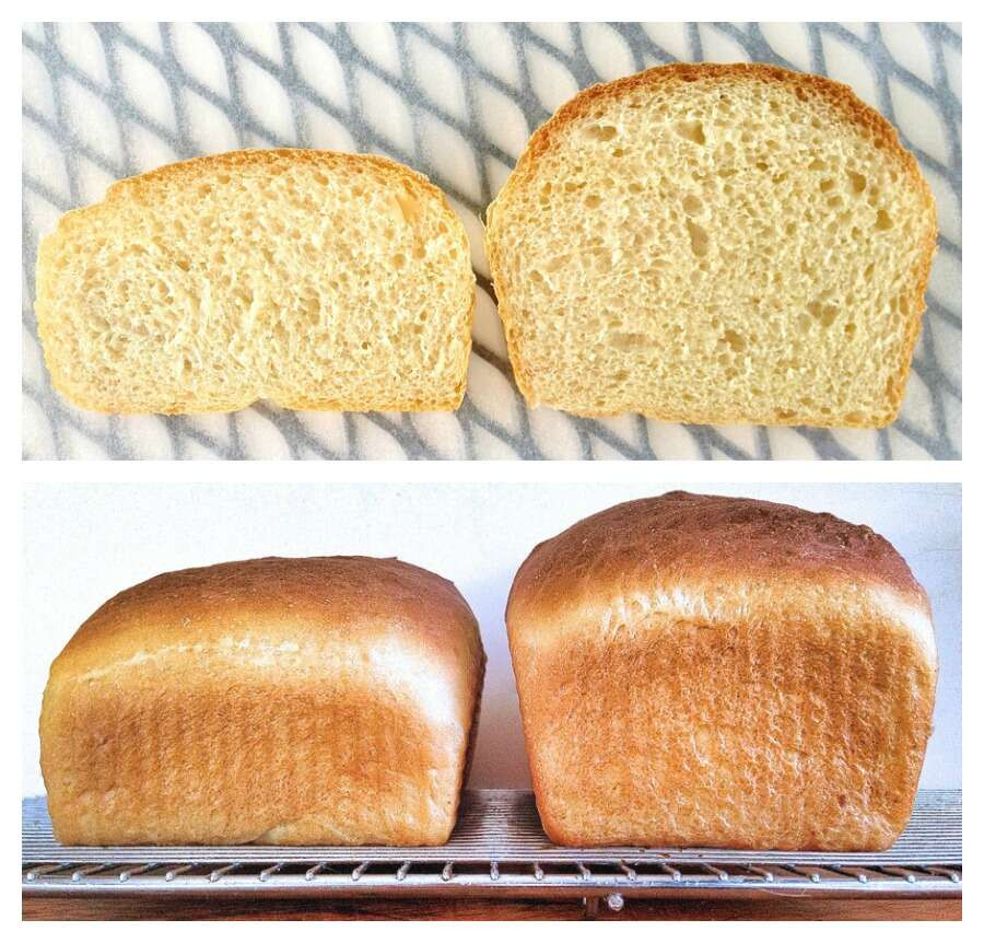 Too Much Yeast In Bread
 "My Bread Didn t Rise"