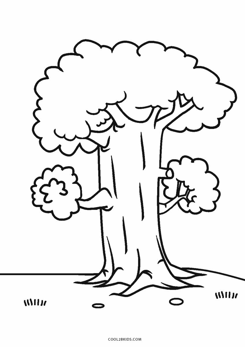 Tree Coloring Pages For Kids
 Free Printable Tree Coloring Pages For Kids