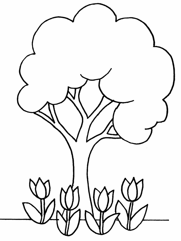 Tree Coloring Pages For Kids
 Free Printable Tree Coloring Pages For Kids