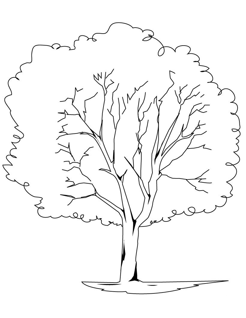 Tree Coloring Pages For Kids
 Free Printable Tree Coloring Pages For Kids