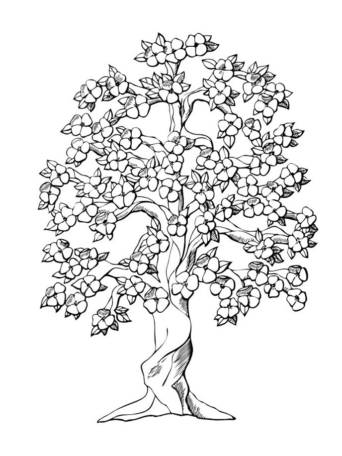 Tree Coloring Pages For Kids
 Free Printable Tree Coloring Pages For Kids