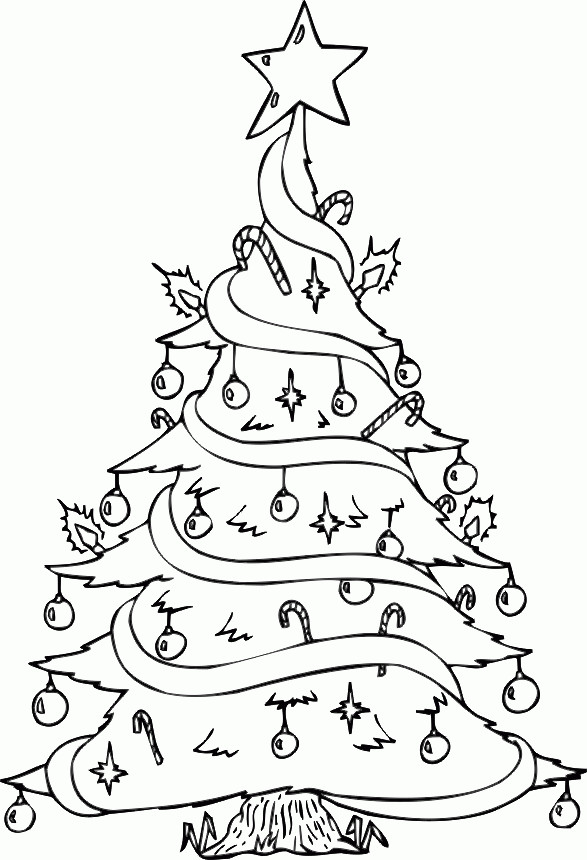 Tree Coloring Pages For Kids
 Free Printable Tree Coloring Pages For Kids