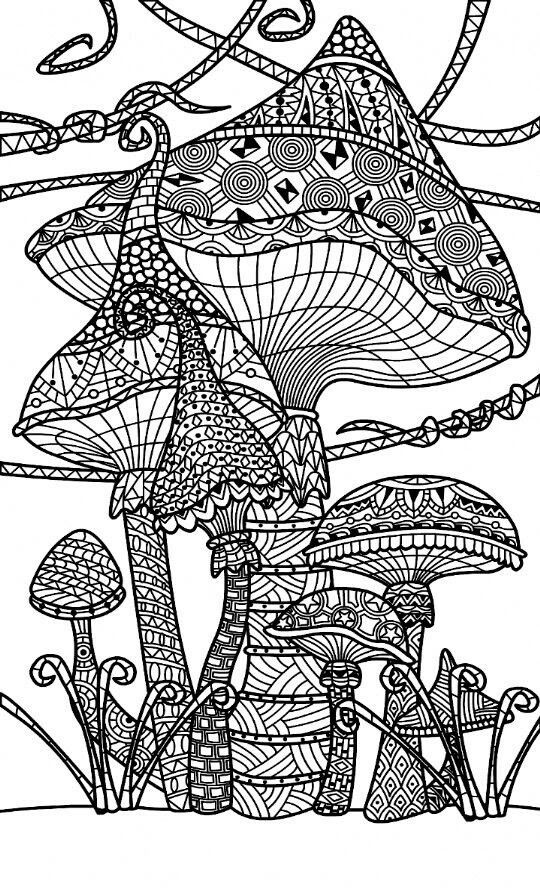 Trippy Adult Coloring Books
 315 best Trippy Psychedelic Coloring Pages images on