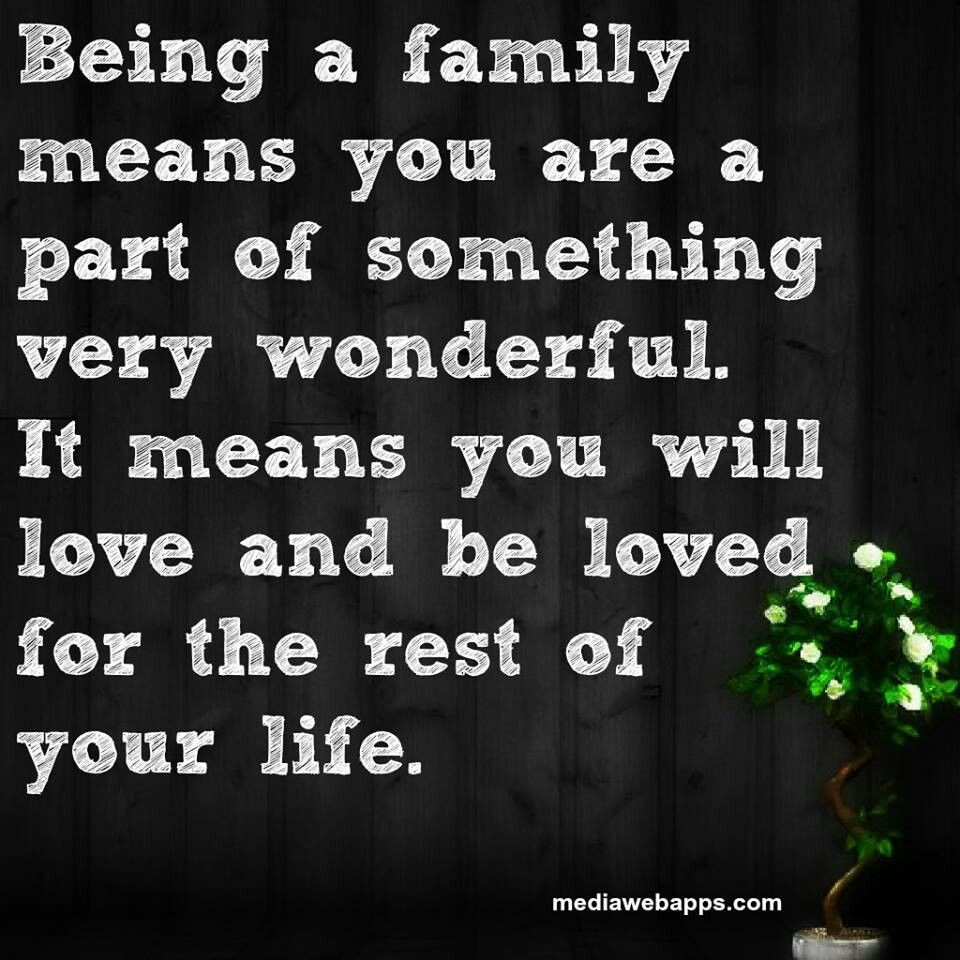 True Family Quotes
 Meaning of Family Quotes & Saying etc