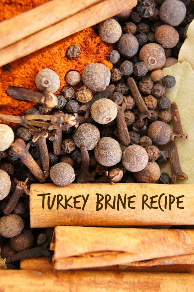 Turkey Brine Recipe For Frying
 Thanksgiving Turkey Brine Recipe