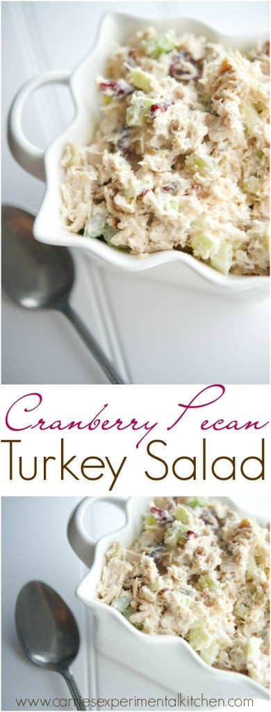 Turkey Cranberry Salad
 Cranberry Pecan Turkey Salad