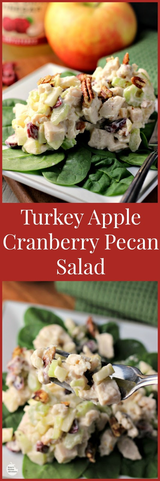 Turkey Cranberry Salad
 Turkey Apple Cranberry Pecan Salad