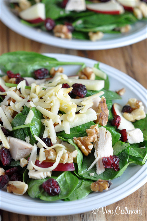 Turkey Cranberry Salad
 Leftover Turkey Recipes Clean and Scentsible