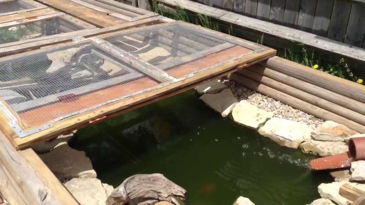 Turtle Backyard Pond
 Caring for Turtles in Outdoor Pond