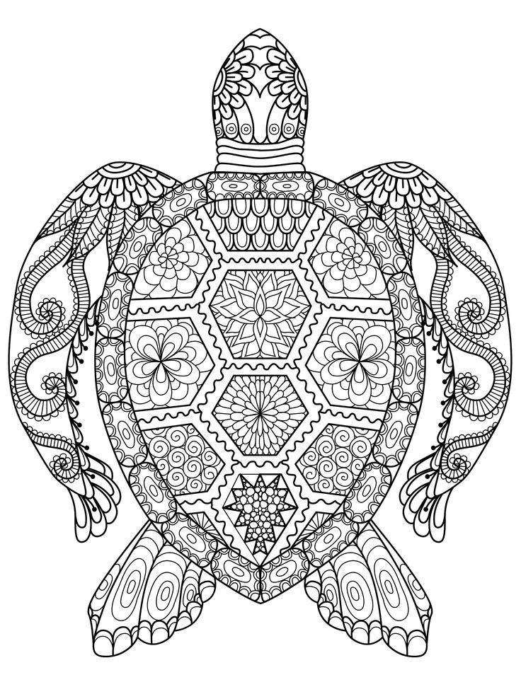 Turtle Coloring Pages For Adults
 20 Gorgeous Free Printable Adult Coloring Pages
