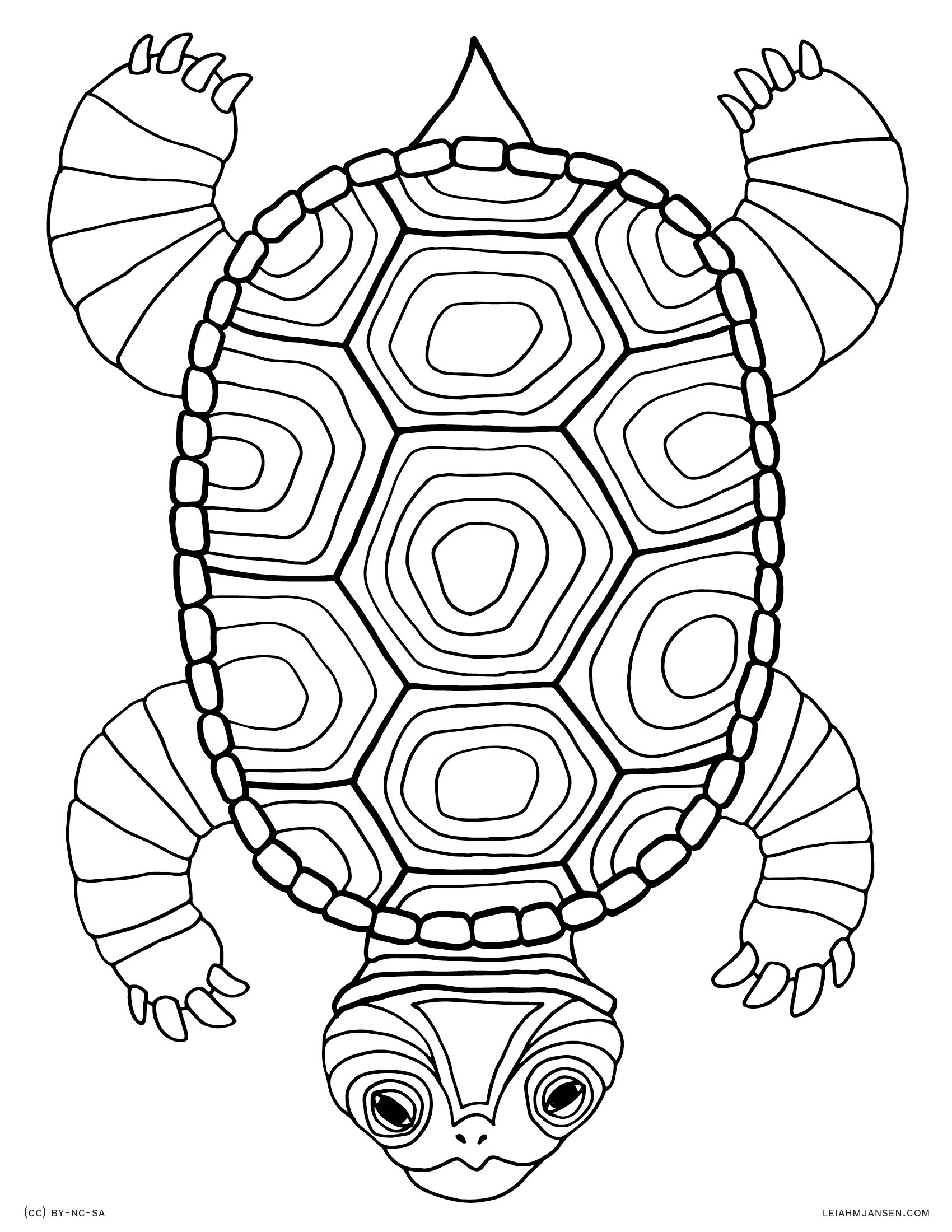 Turtle Coloring Pages For Adults
 Coloring Pages