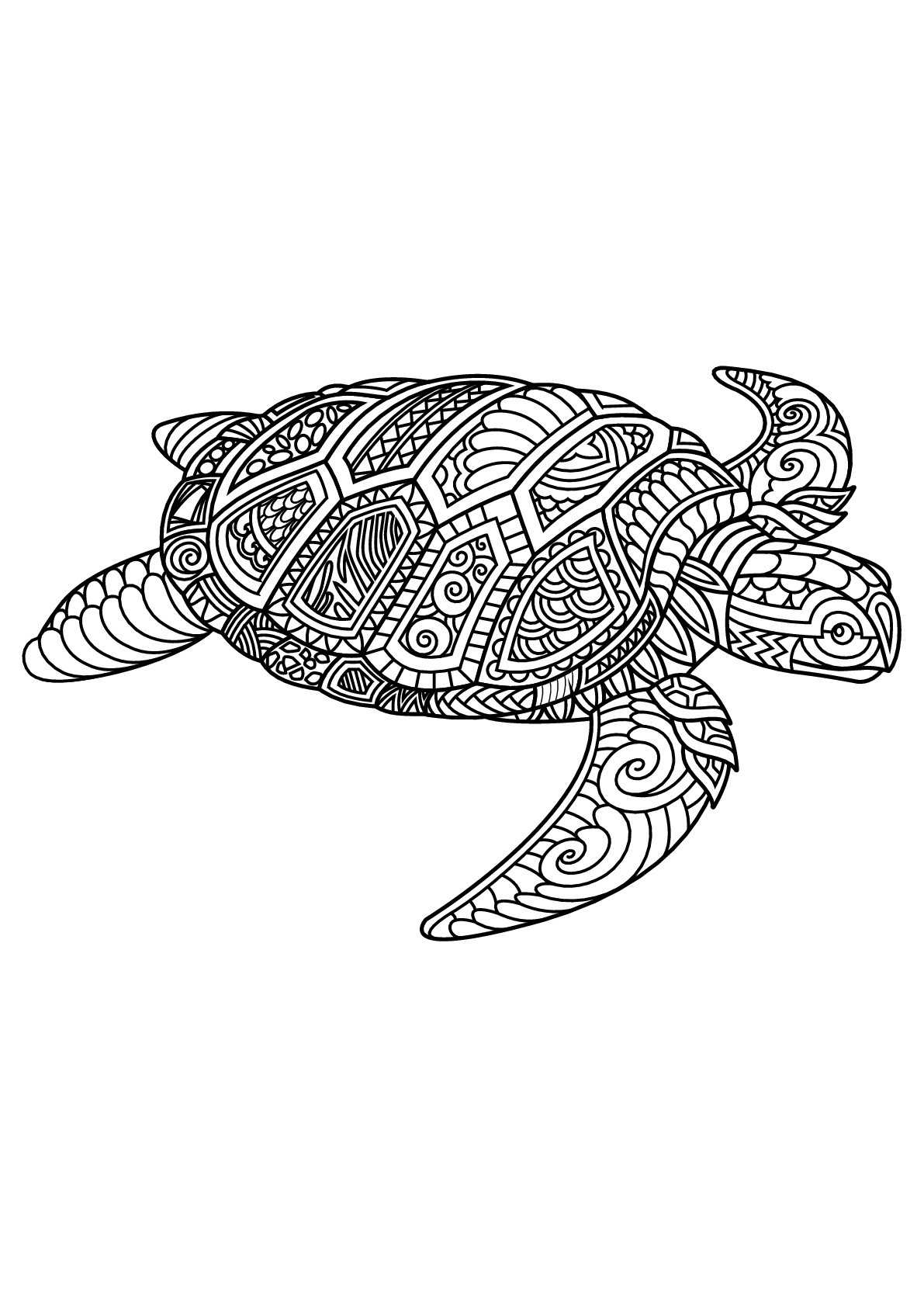 Turtle Coloring Pages For Adults
 Free book turtle Turtles Adult Coloring Pages
