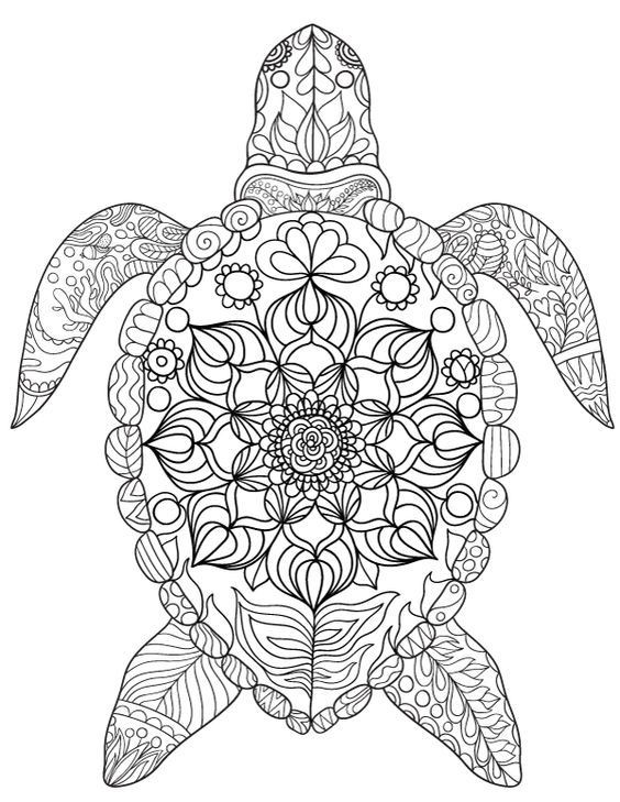 Turtle Coloring Pages For Adults
 Pin by jessica laursen on crafts