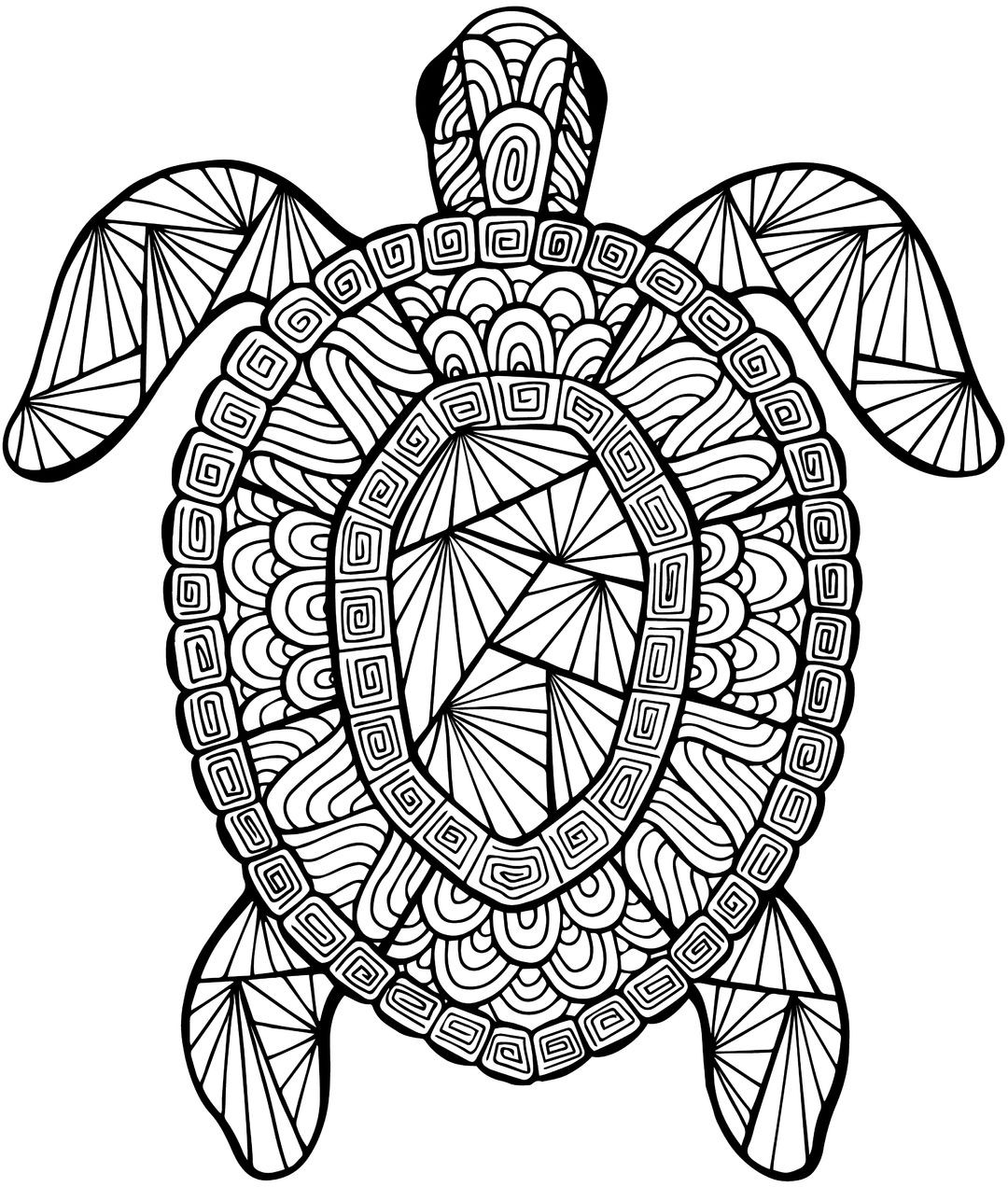 Turtle Coloring Pages For Adults
 Detailed Sea Turtle Advanced Coloring Page
