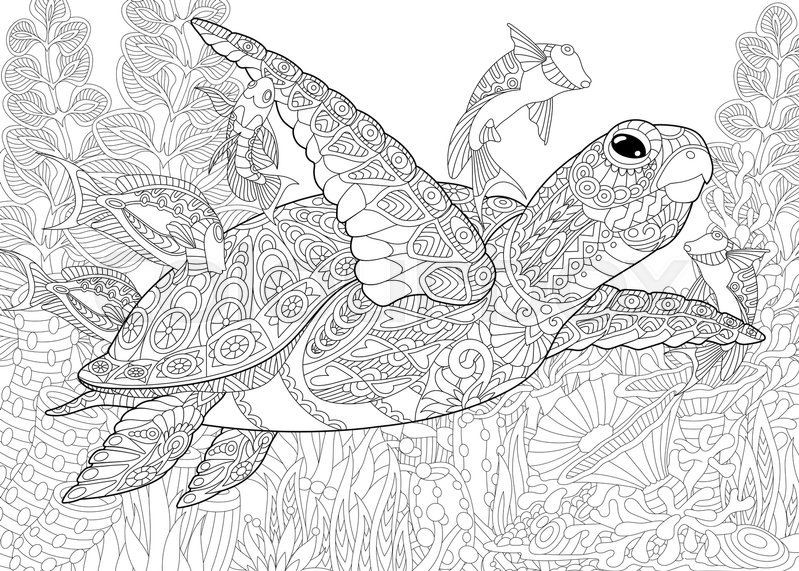 Turtle Coloring Pages For Adults
 Stock vector of Stylized position of turtle tortoise
