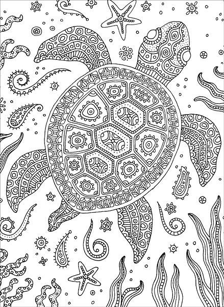 Turtle Coloring Pages For Adults
 Colorful Meditations Coloring Book from KnitPicks